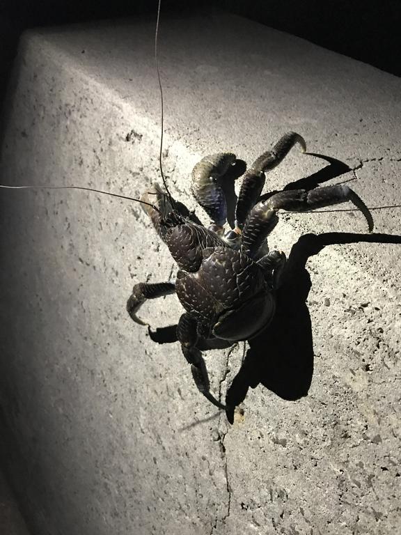 Minshuku Irayoi Hotel Ishigaki  Luaran gambar